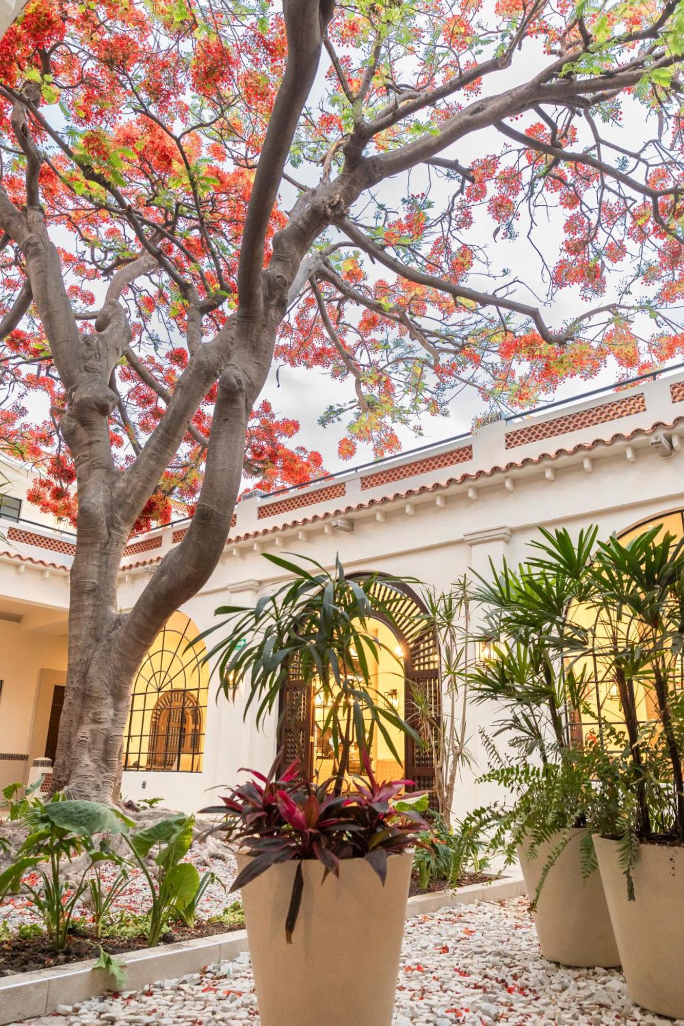 Gran Hotel Mexico By Solaris Tehuacán Zewnętrze zdjęcie